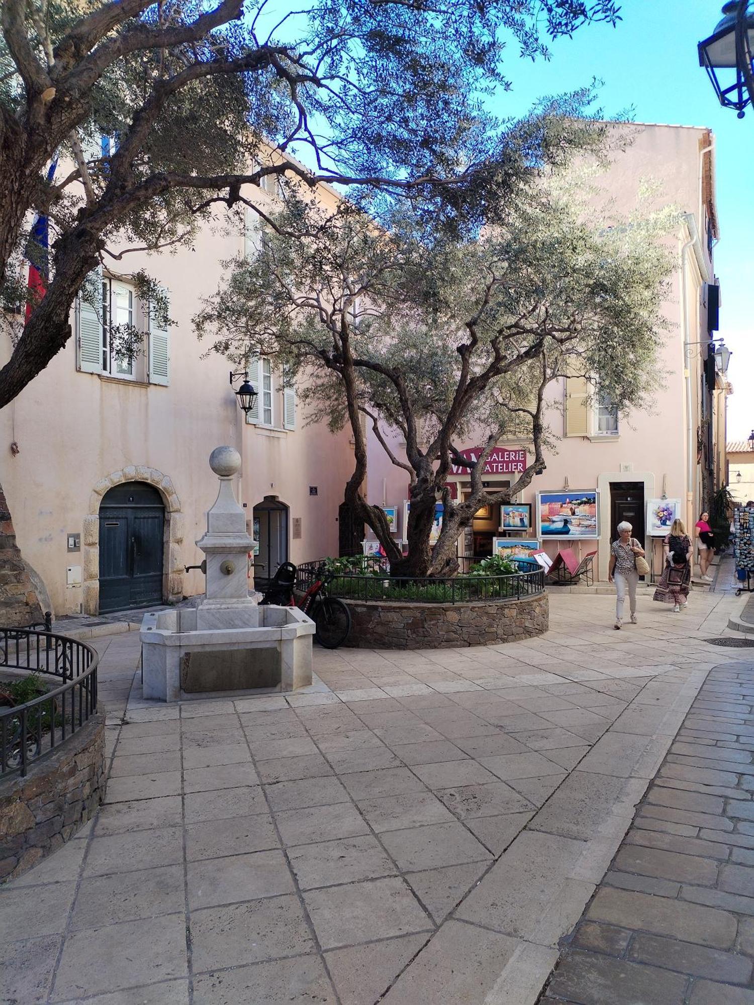 Saint-Tropez Florida Daire Dış mekan fotoğraf